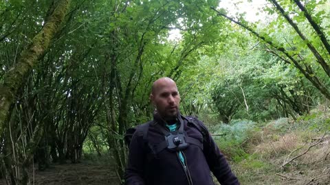 Meldon viaduct. Exploring the woods. Vlog. Dartmoor. 26th Sep 2022