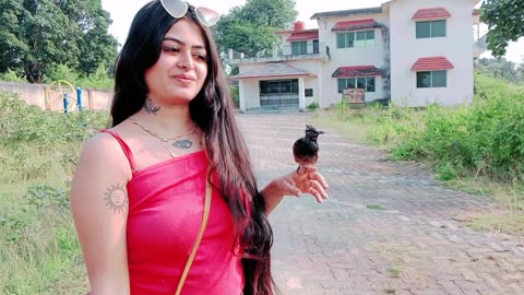 Bird in Tourist Spot