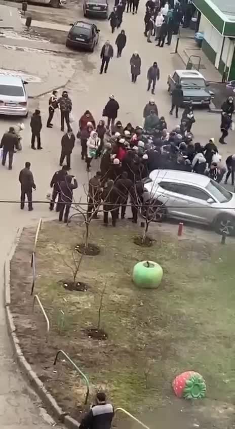 Food fight in Kharkiv
