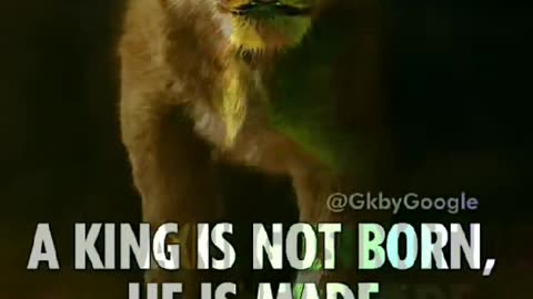 KING of attitude//king attitude #viral #kingattitude #attitude #siddhu2006