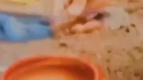 Haryanvi hookah viral video #status