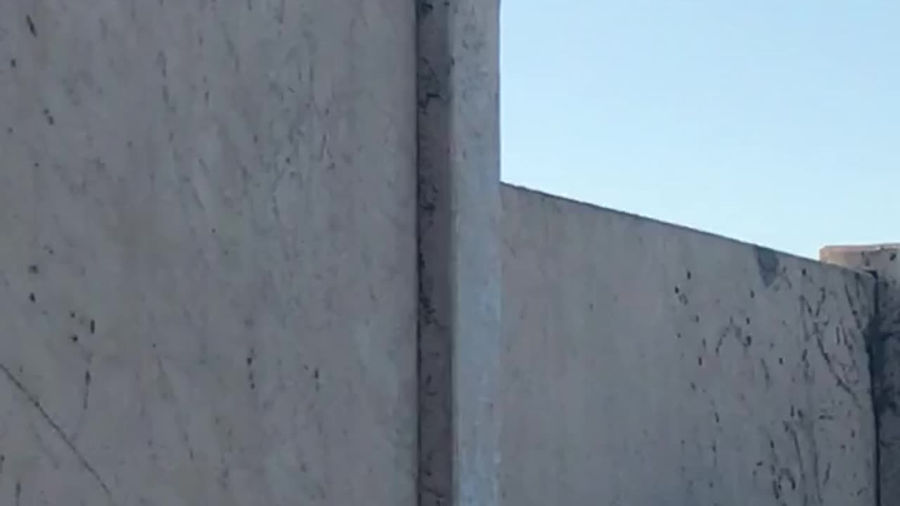 Beautiful Hawk
