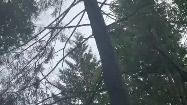 Steep ground heli falling