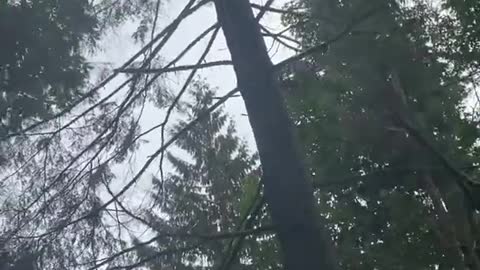 Steep ground heli falling