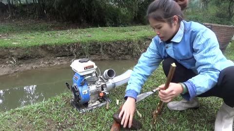 Hunting wild fish | Catch a lot of fish in the wild lake by using the big pump to suck the water-18