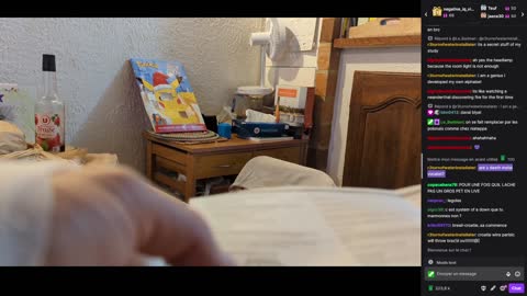 2022-12-09 (3bis.2) - Déballage de colis de faux Légos - Twitch Decheterie (version avec chat)