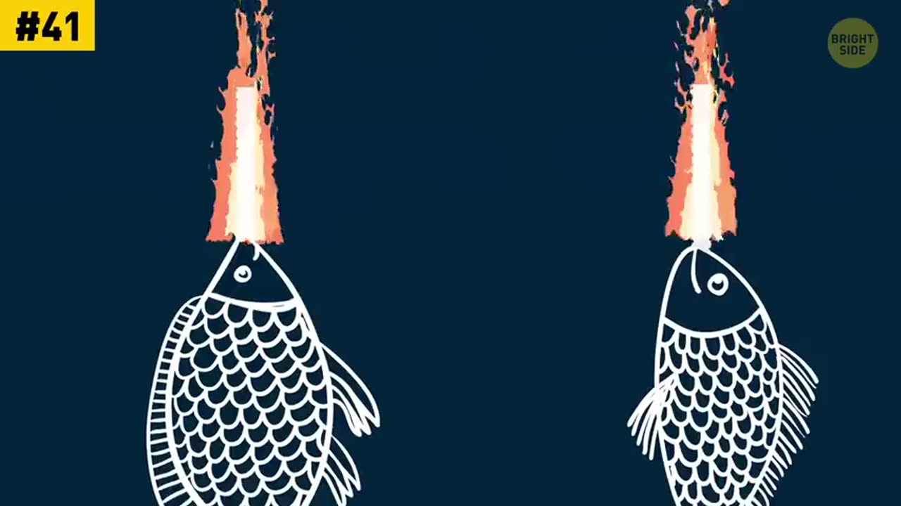 50 Things That Prove Canada Is a Unique Country