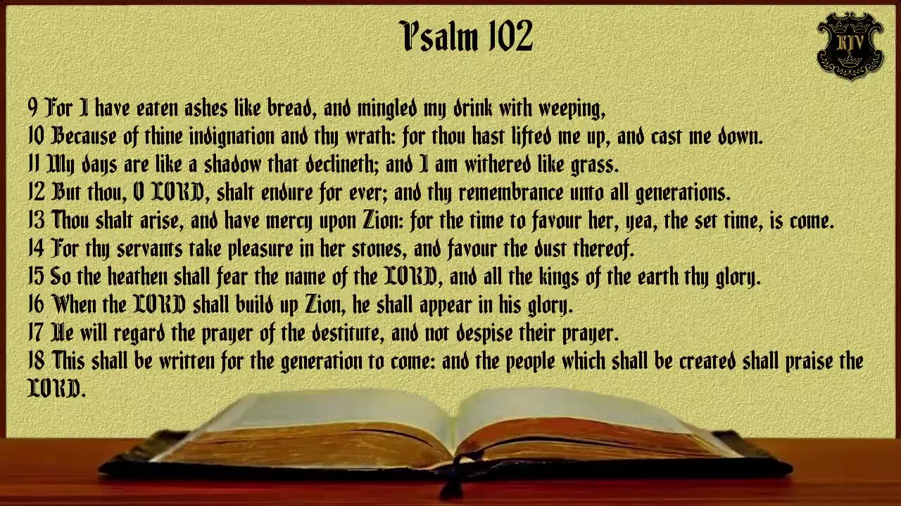 (19) - Psalms (KJV) Dramatized With Words