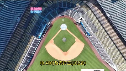運動天地-場邊人語 藍鳥靜聲-魚兒躍升