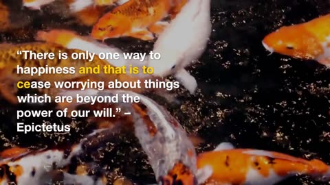 15 Quotes to Help Reverse Anxiety