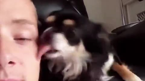 World most friendly Dog...