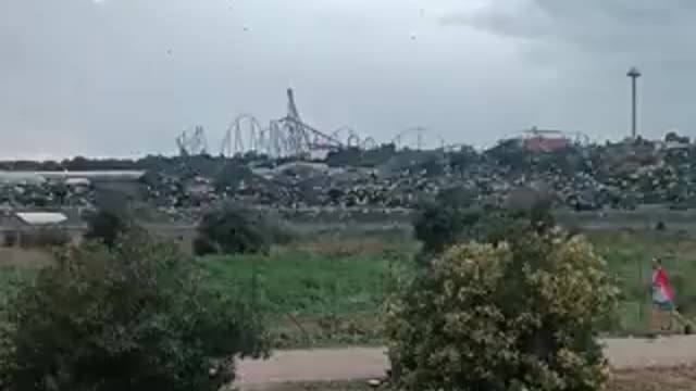 Qualcosa sta Arrivando - Barcellona. Uccelli volano in cerchio