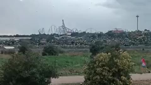 Qualcosa sta Arrivando - Barcellona. Uccelli volano in cerchio