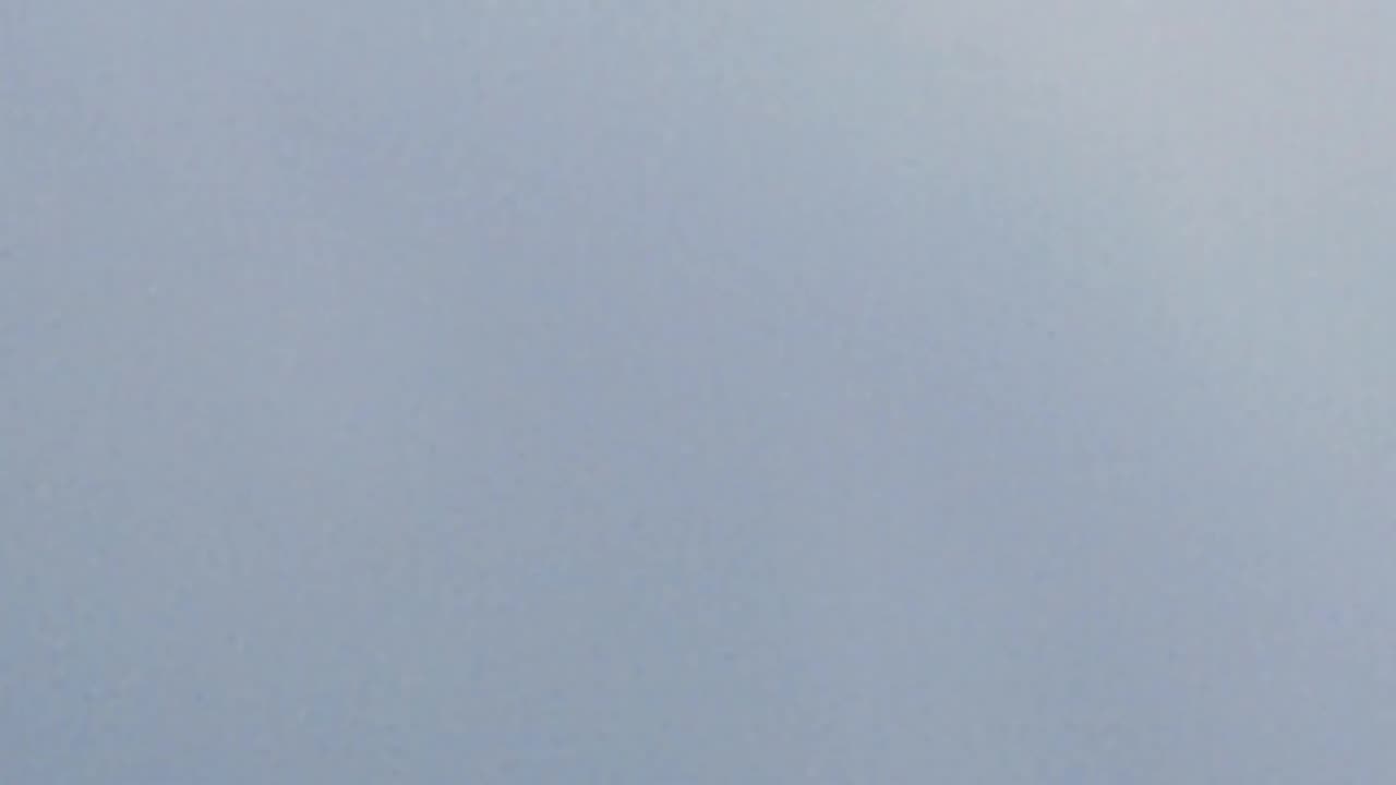 Flock of birds