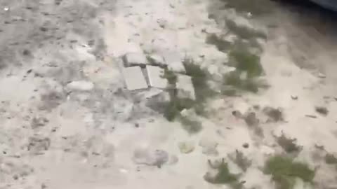 Where is your Zelensky now, mam?