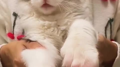 😲play the drums together