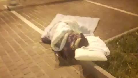 ΠΟΥ ΕΙΝΑΙ Η ΑΓΑΠΗ ΣΑΣ Ε ΡΑΣΟΦΟΡΟΙ????