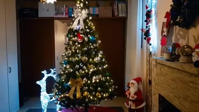 How to decorate your Christmas tree in 25 seconds