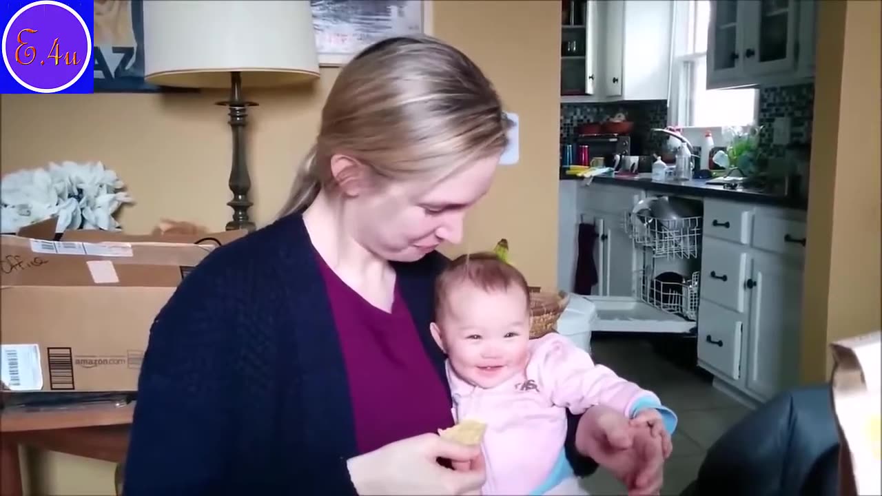 Try Not to Laugh