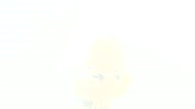 27JAN22 THE LIGHT THE SACRED SEXUAL ENERGIES WILL REMOVE ALL DARKNESS