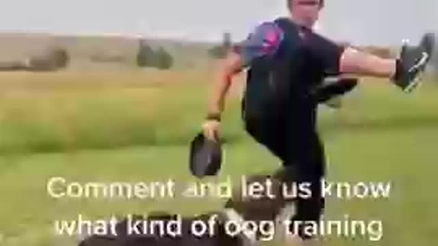 Dog training videos II dog training course