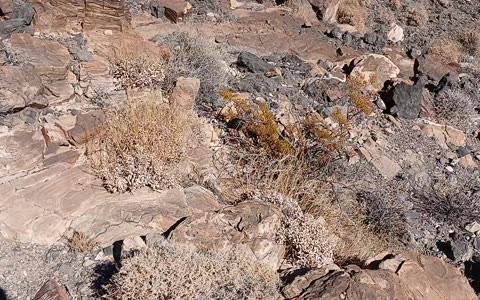 Shadow Mountain - Peak 4, Pahrump, NV 89060 - 20240928T145753