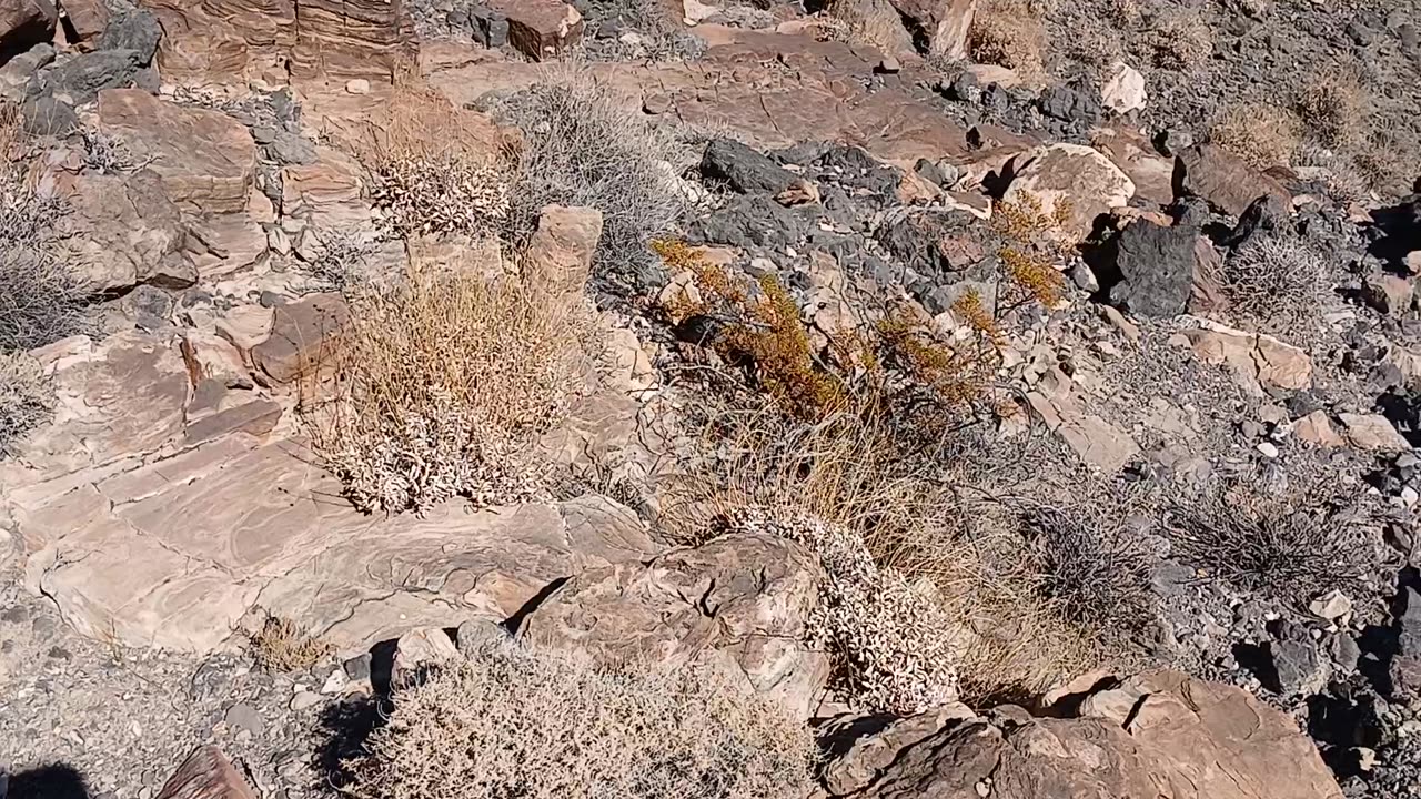 Shadow Mountain - Peak 4, Pahrump, NV 89060 - 20240928T145753