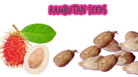 12 Fruits with one seed