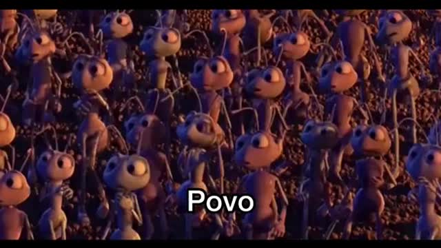 Quem é desperto entende esta analogia