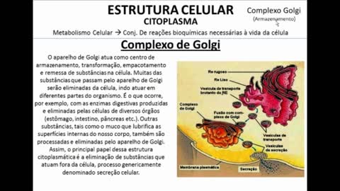 Citologia: Citoplasma parte II - MinhaEscolaWeb