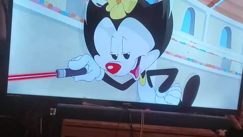 Animaniacs Trump catch phrase