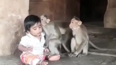 Monkey came to visit his little friend #shorts #viral #shortsvideo #video