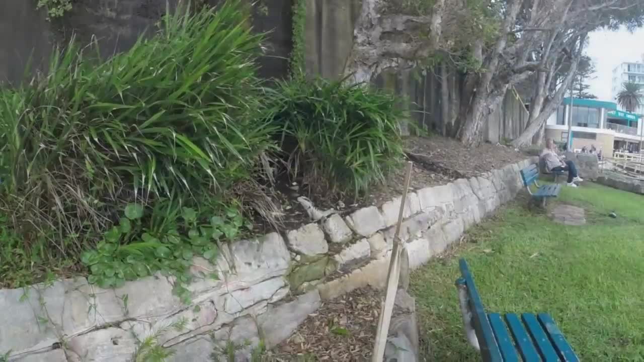 Australia in one minute