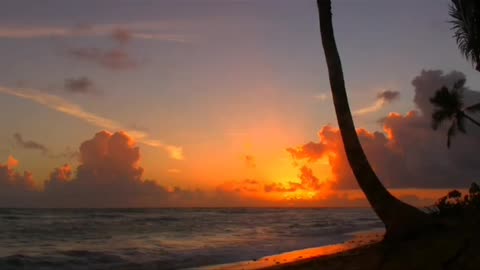 videoplaybackBeauty relax nature