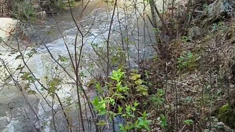 Creek Crossing - Or Not?