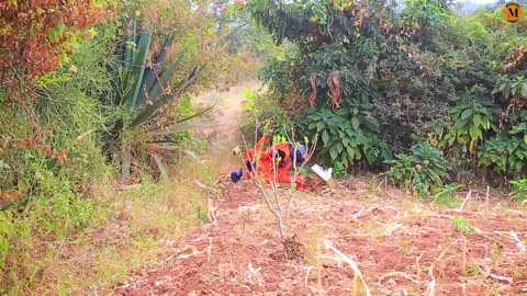 Mitsutsu comedy: iminsi yigisambo ni mirongo ine