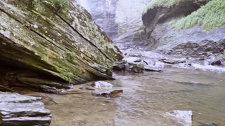 river #nature #river #shorts #short