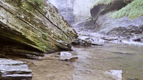 river #nature #river #shorts #short