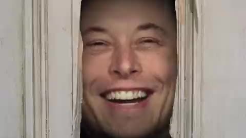 drefanzor memes Elon twitter