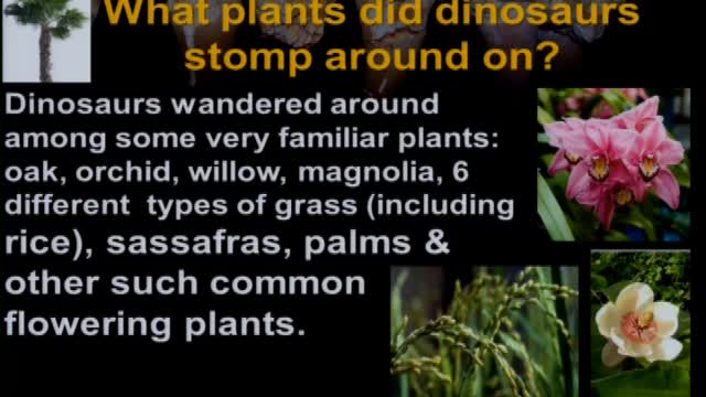 Dinosaurs and the Bible - Frank Sherwin