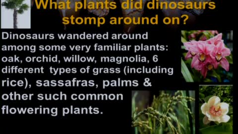 Dinosaurs and the Bible - Frank Sherwin