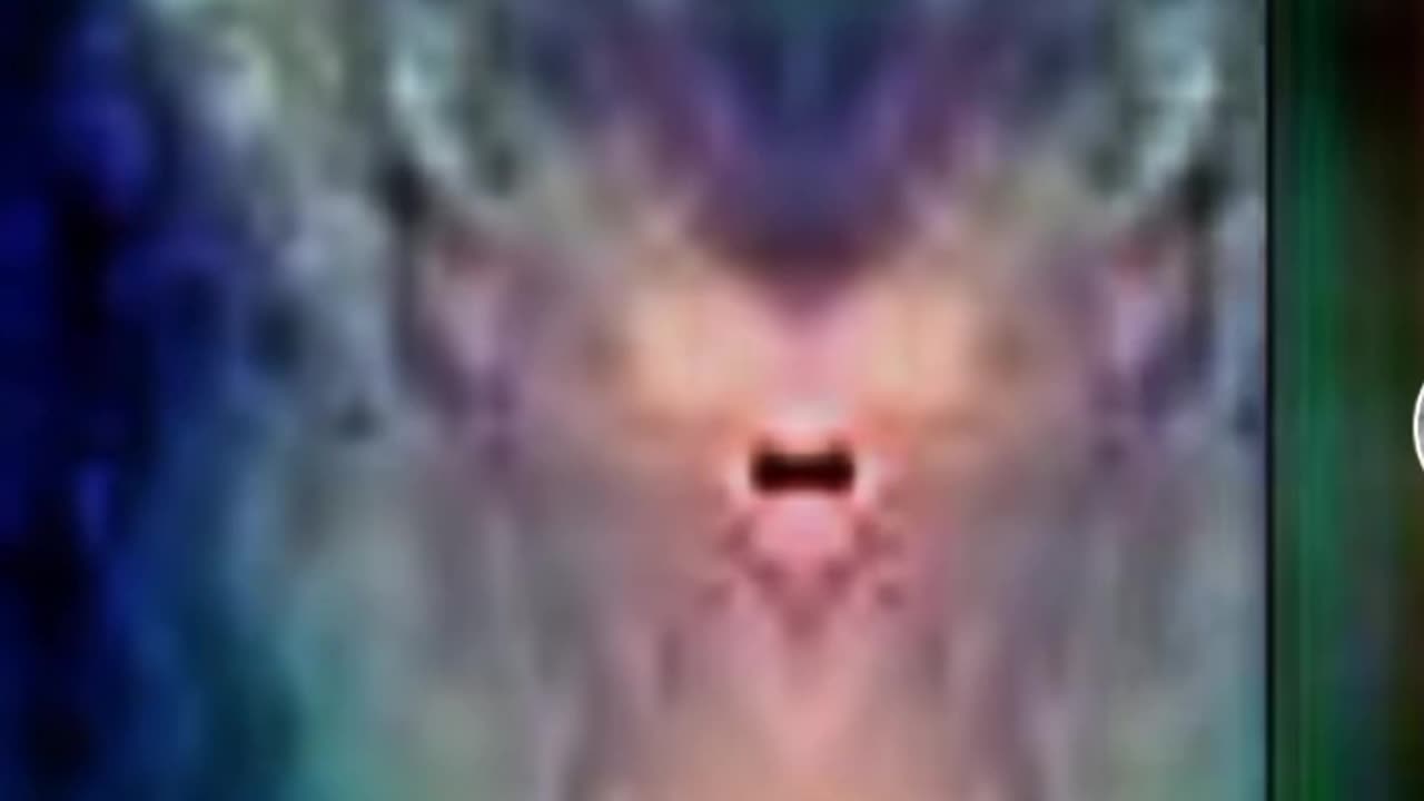 Energy vision