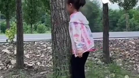 Video fact funny