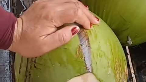Oddly Satisfying Coconut Cutting ASMR