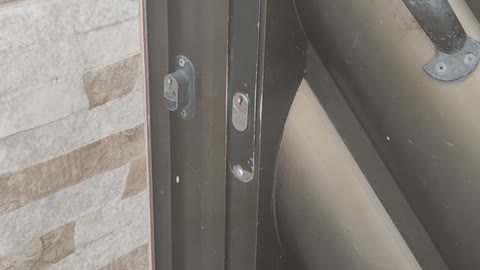 Door Answered by Adorable Dog