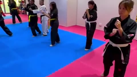 Hapkido