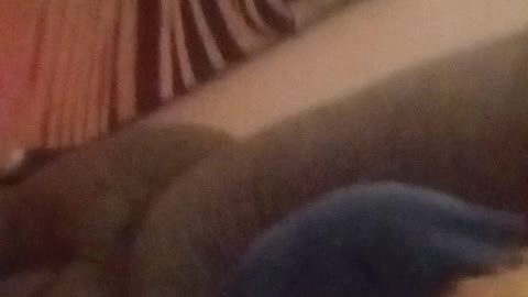 My sucky baby boy lol