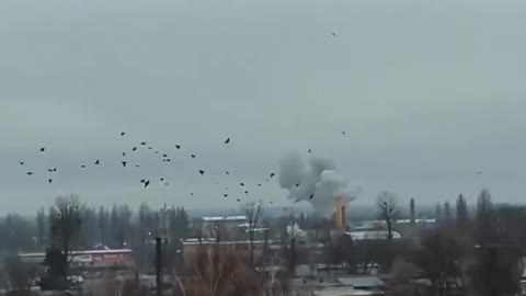 Lutsk