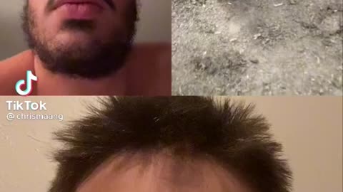 What Animal is this