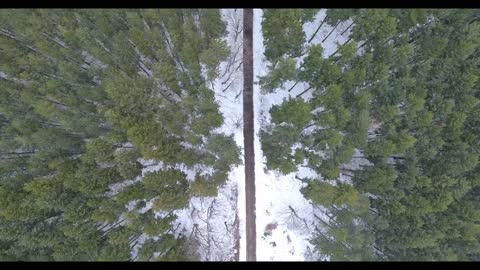 Relaxing Music | Sleeping, Meditation, Stress Relief | [6149] ⭐️